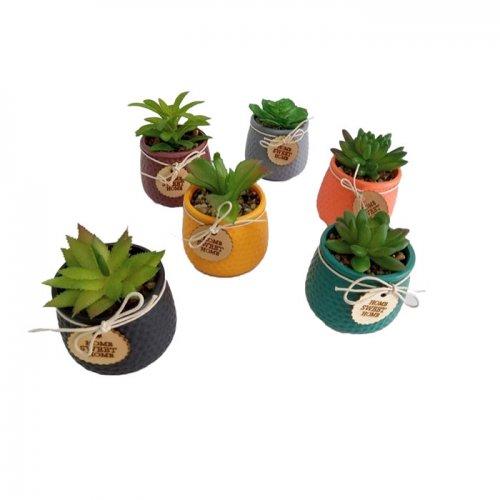 PLANTITA ARTIFICIAL CERAMICA VARIOS COLORES 12X8CM